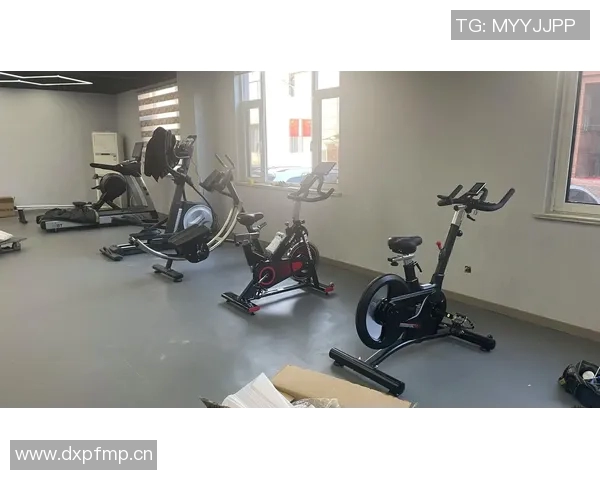 男生健身器材:男生专用的健身器材推荐与选购技巧 男生健身器材:男生专用的健身器材推荐与选购技巧